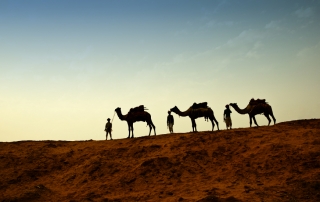Three Wise Men
